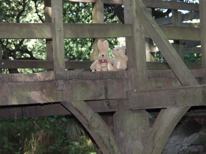 Pooh und Felix auf der Brücke