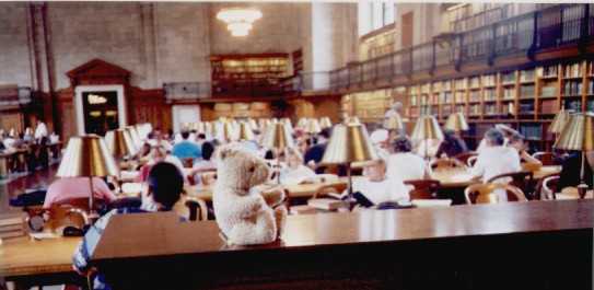 Pooh at Library